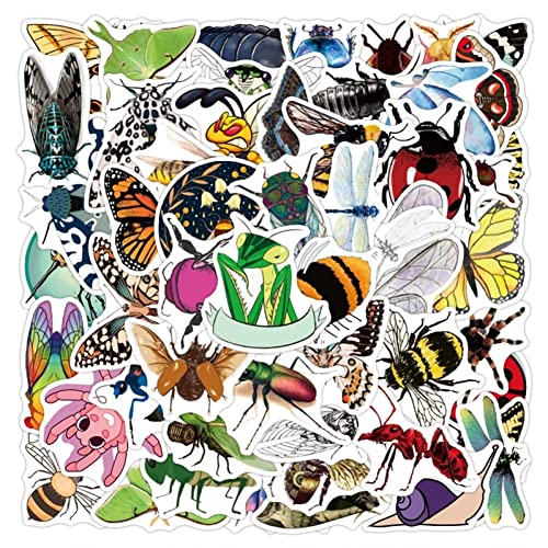 Stakee 50pcs Nature Insect Aufkleber Insekten Graffiti Aufkleber Farbenfrohe wasserdichte Aufkleber Selbstkleber Aufkleber Für Kinder Erwachsene von Stakee