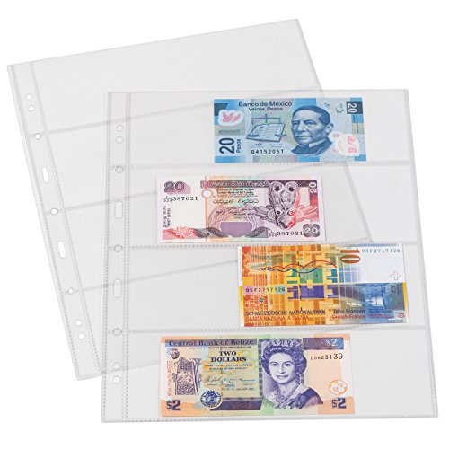 Star Collect 50 transparente Klarsichthüllen DIN A4 geteilt – 4 Fächer 4-Ring-Mechanik – ideal Für Banknoten von Star Collect