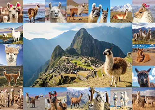 Starnberger Spiele - Lama Puzzle - 1000 Teile - Für Kinder und Erwachsene - Geschenk für Lama- und Alpakafans Starnberger Spiele - Lama Puzzle - 1000 Teile - Für Kinder und Erwachsene - Geschenk für Lama- und Alpakafans von Starnberger Spiele