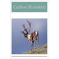 Caribou Reindeer von Dramatic Pub.