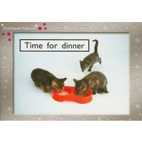 Time for Dinner von Houghton Mifflin Harcourt P