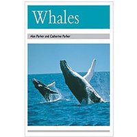 Whales von Dramatic Pub.