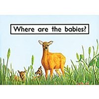 Where Are the Babies?: Leveled Reader Bookroom Package Magenta (Levels 1-2) von Steck Vaughn Co