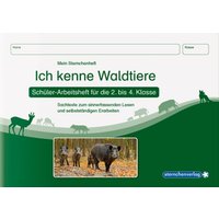 Ich kenne Waldtiere - Schülerarbeitsheft für die 2. bis 4. Klasse von Sternchenverlag