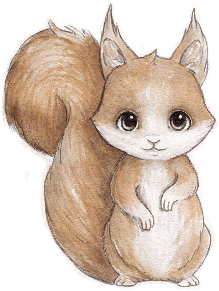 Stickstay Sandy The Squirrel Wandsticker von Stickstay