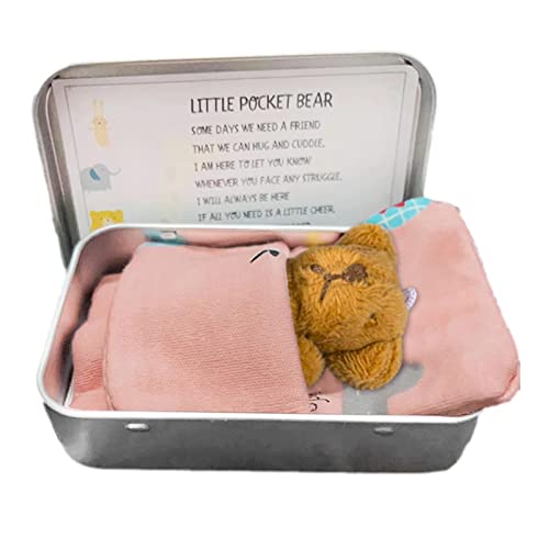 Storaffy Taschen Teddybär Umarmung | Pocket Bear Plüschtiere | Weicher Teddybär in Einer Blechdose | Niedliche lustige Kuscheltier-Teddybär-Puppen-Weihnachtsgeburtstagsgeschenke für Kinder von Storaffy