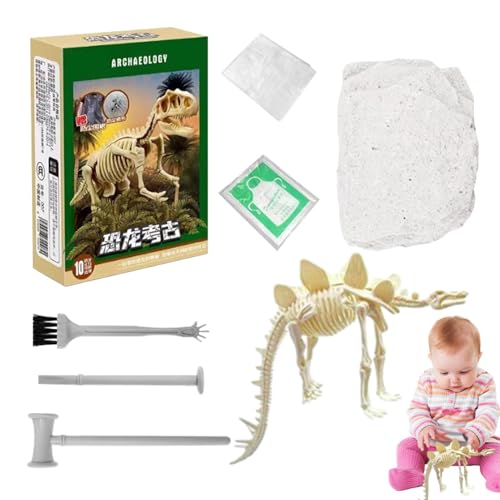 Dinosaurier-Fossilien-Ausgrabungsset, Dinosaurier-Ausgrabungsset - Dino-Skelett-Ausgrabungsspielzeugmodell | Dinosaurier-Fossil-Ausgrabungsset, Dino-realistisches Modellspielzeug für Kinder, von Stronrive