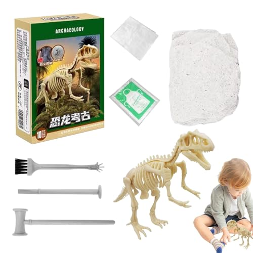 Dinosaurier-Skelett-Ausgrabungsset, Dino-Ausgrabungsset | Dinosaurier-Skelett-Fossilien-Ausgrabungsspielzeug | Dinosaurier-Fossil-Ausgrabungsset, Dino-realistisches Modellspielzeug für von Stronrive