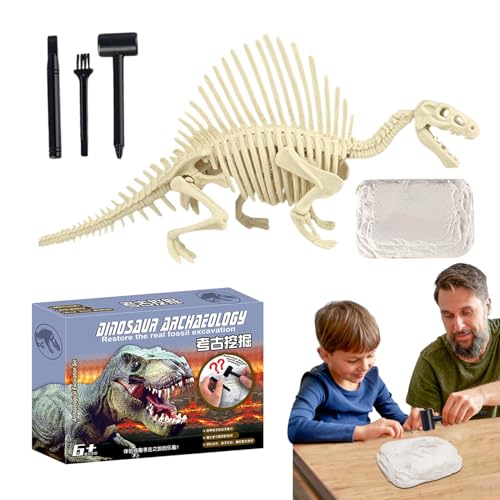 Fossilien Ausgrabungsset - Dinosaurier Skelett Ausgrabungsset Für Und Mädchen - STEM Paläontologie Wissenschaftsspielzeug Pädagogisches Praktisches Lernen Fossilien Ausgrabungsset - Dinosaurier Skelett Ausgrabungsset Für Und Mädchen - STEM Paläontologie Wissenschaftsspielzeug Pädagogisches Praktisches Lernen von Stronrive