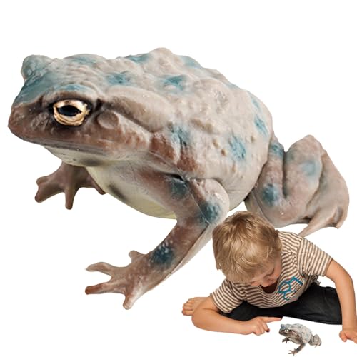 Stronrive Kröte Spielzeugtier,Kröte Kinderspielzeug | Ochsenfrosch Figur Modell PVC Froschfiguren | Niedliche Froschstatue-Modelle, Spielzeug-Miniatur-Sammelfiguren für Kinderzimmer, Klassenzimmer von Stronrive