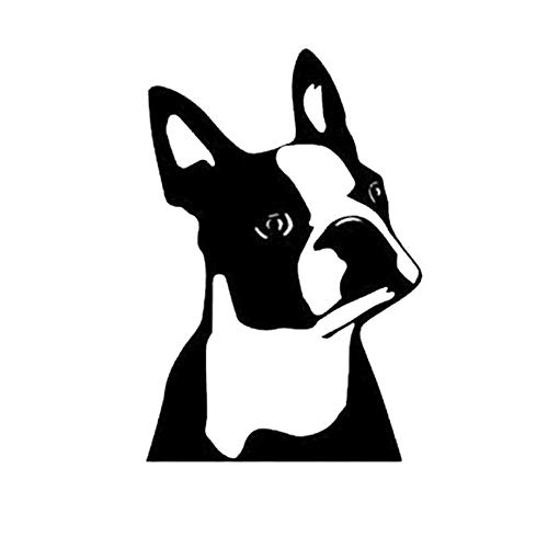 Stukk Stickers Boston Terrier Hunderasse, lustiger Fensteraufkleber, Laptop-Aufkleber, Vinyl, Schwarz, 7,6 x 11,4 cm von Handmade By Stukk