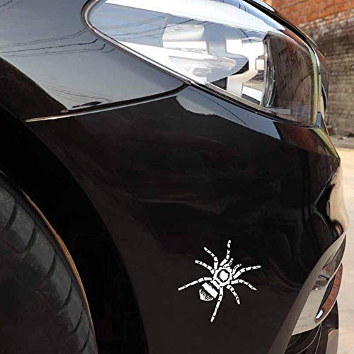 Stukk Stickers Tarantula Hairy Spider Fun Window Bumper Vinyl Decal JDM Sticker 15,2 cm x 16,7 cm, Weiß von Handmade By Stukk