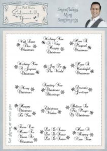 Sue Wilson Creative Expressions Sentimentally Yours Mini-Stempel-Set, Schneeflocke, A5, transparent von Sue Wilson