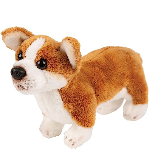 Suki Gifts International - Kleiner Hund, Corgi (12153), Beige von Suki Gifts International