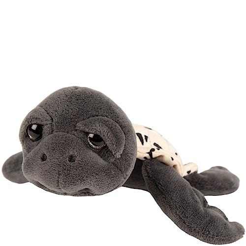 Suki Gifts International 14557 Turtle Plüsch, grau, M von Suki Gifts International