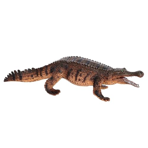 Simuliertes Krokodil-Modell, Simuliertes Krokodilmodell Realistische Alligatorfiguren, Realistische Alligator-Figuren Sammlung Modell Wissenschaft Pädagogische Requisiten Spielzeug Desktop-Dekoration von Sulxyi