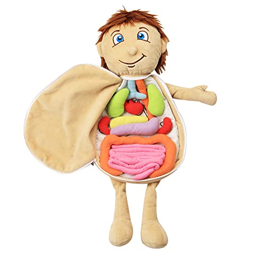 Modell Anatomie Puppe, Menschlicher Körper Modell Lernen 3D Abnehmbare Orgel Spielzeug, Kinder Biologie Pädagogische Puppe Stofftier Für Kinder Jungen Mädchen von Sunnyushine