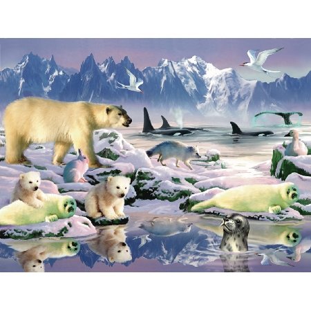 500 Teile Puzzle Tiere der Arktis 59360 SunsOut von SunsOut