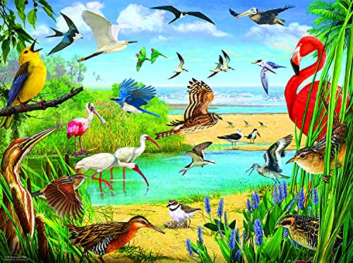 Puzzle SunsOut - R. Christopher Vest: Florida Birds, 1.000 piese (Sunsout-70028) von SunsOut