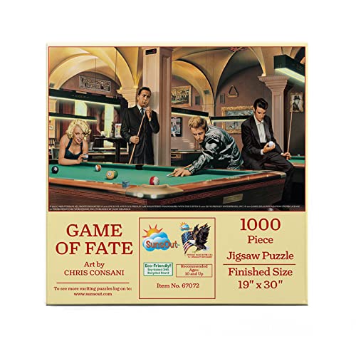 SUNSOUT INC - Spiel des Schicksals - Puzzle mit 1000 Teilen des Künstlers: Chris Consani - Fertige Größe 48,3 x 76,2 cm - MPN# 67072 von SunsOut