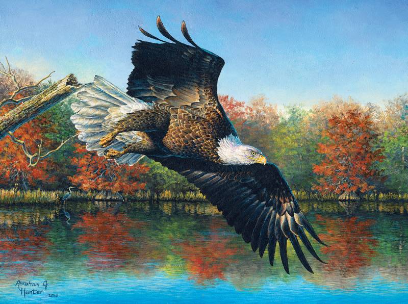 SunsOut Abraham Hunter - Wetlands Eagle 1000 Teile Puzzle Sunsout-69607 von SunsOut