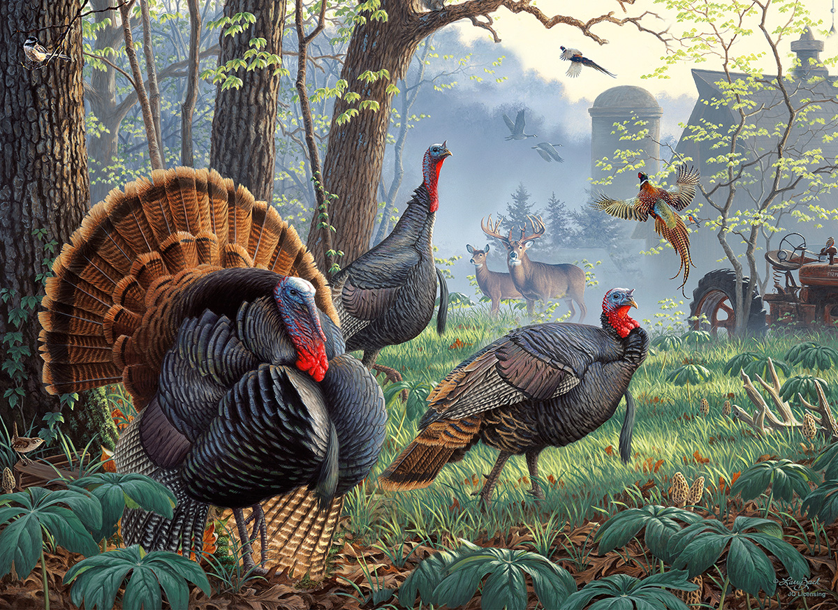 SunsOut Larry Zach - Old Tom's Farm 1000 Teile Puzzle Sunsout-52403 SunsOut Larry Zach - Old Tom's Farm 1000 Teile Puzzle Sunsout-52403 von SunsOut