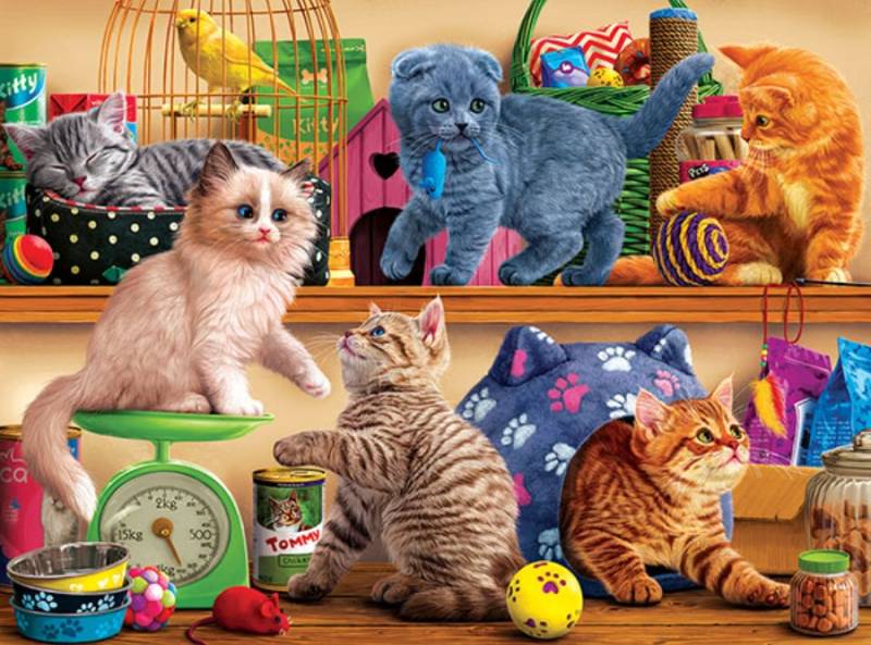 SunsOut Pet Shop Kittens 1000 Teile Puzzle Sunsout-42957 von SunsOut