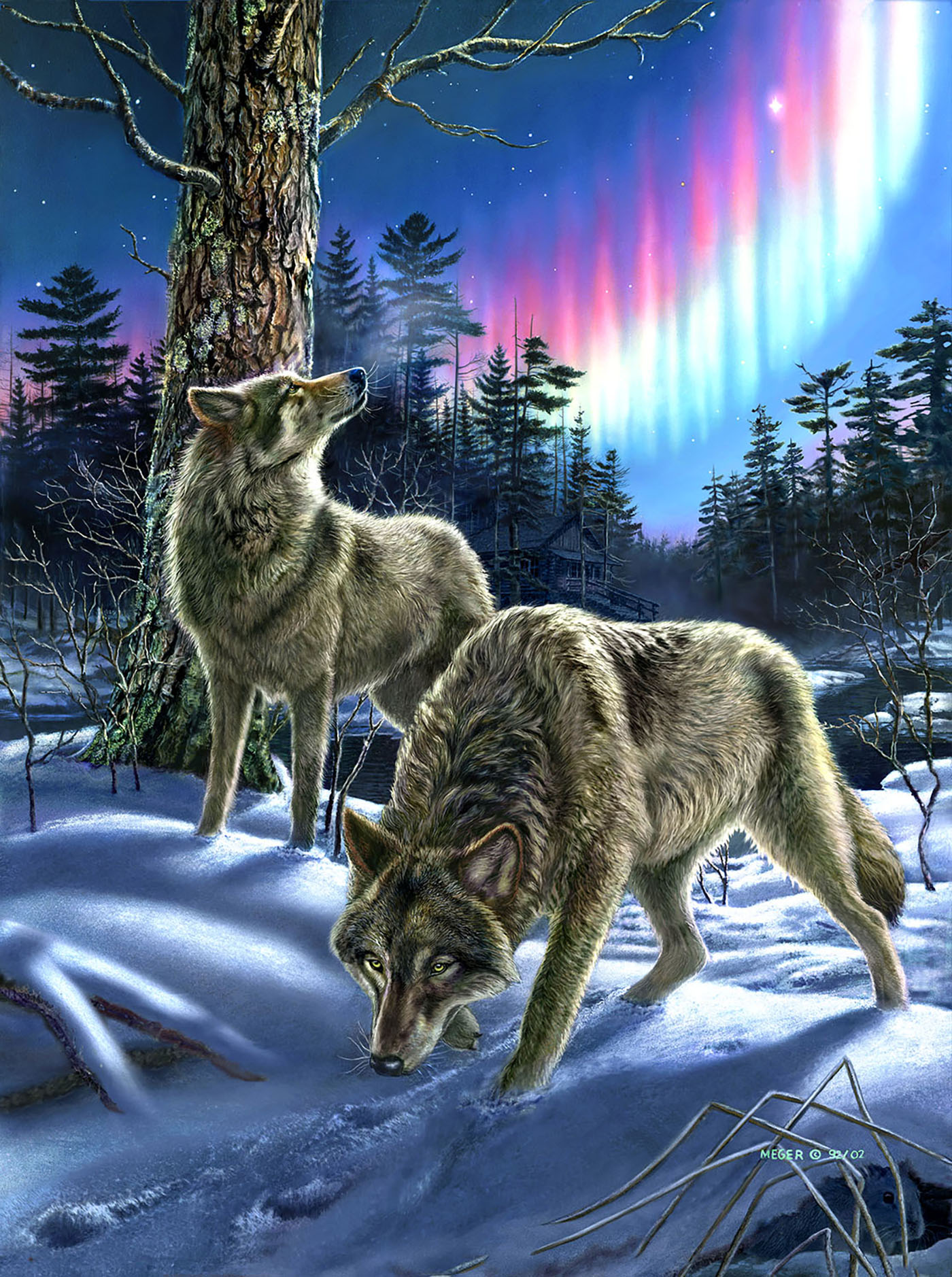 SunsOut Wölfe im Nordlicht 1000 Teile Puzzle Sunsout-28397 SunsOut Wölfe im Nordlicht 1000 Teile Puzzle Sunsout-28397 von SunsOut