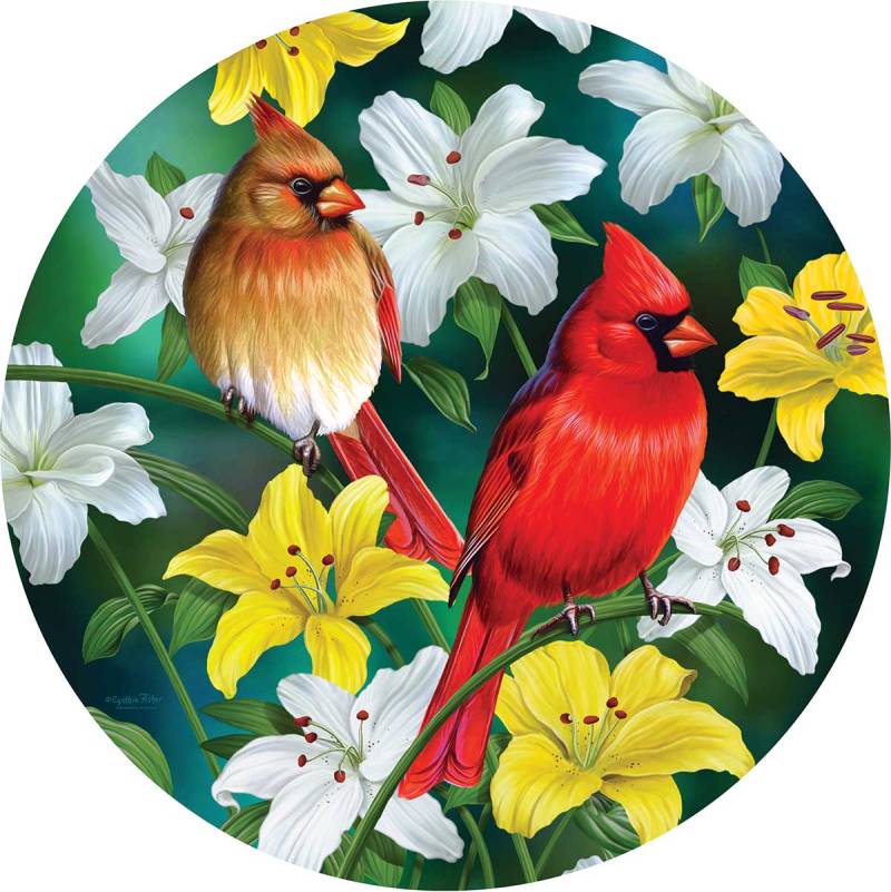 SunsOut XXL Teile - Cardinals in the Round 500 Teile Puzzle Sunsout-70965 von SunsOut