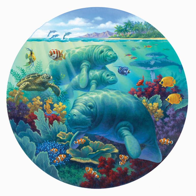 SunsOut XXL Teile - Manatee Beach 500 Teile Puzzle Sunsout-55968 von SunsOut