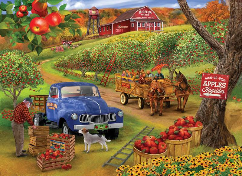 SunsOut XXL Teile - Pick Ur Own Apples 500 Teile Puzzle Sunsout-31955 von SunsOut