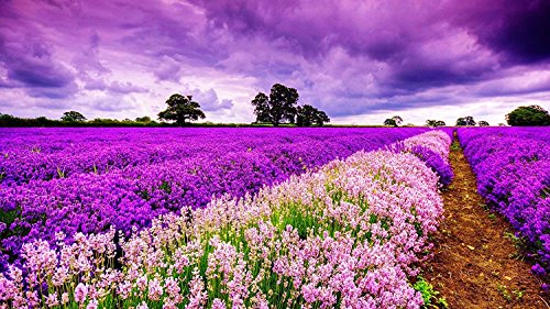 SuperPower® Romantische 1000 Stück Lila Himmel Provence Lavendel Blume Meer Blumen Feld Dämmerung Sonnenuntergang Landschaft Erwachsene Spiele Hölzern Ölgemälde Boden Puzzles von SuperPower