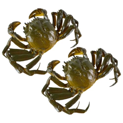 Supvox 2stücke Lebensechte Krabbe Simulation Krabben Modell Realistisches Krabbenspielzeug Pädagogische Krabbe Lernkrabbe Partyspielzeug Krabbenornament Krabbendekor Krabbenmodell Supvox 2stücke Lebensechte Krabbe Simulation Krabben Modell Realistisches Krabbenspielzeug Pädagogische Krabbe Lernkrabbe Partyspielzeug Krabbenornament Krabbendekor Krabbenmodell von Supvox