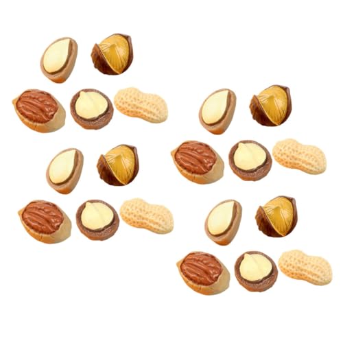 SUPVOX 20 Stück Teiliges Miniatur Dekorative Kunstharz Nüsse Realistische Simulation Bunte Mini Nüsse für DIY Haar Accessoires Puppenhaus Dekoration Detailreiche Handwerksverzierung SUPVOX 20 Stück Teiliges Miniatur Dekorative Kunstharz Nüsse Realistische Simulation Bunte Mini Nüsse für DIY Haar Accessoires Puppenhaus Dekoration Detailreiche Handwerksverzierung von Supvox