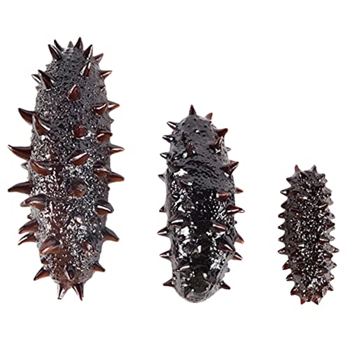 SUPVOX 3 Stück Realistische Teiliges Seeigel Modell Naturgetreu Gestaltete Essens Deko als Foto Requisite Lernspielzeug und Restaurantdekoration für Haushalte SUPVOX 3 Stück Realistische Teiliges Seeigel Modell Naturgetreu Gestaltete Essens Deko als Foto Requisite Lernspielzeug und Restaurantdekoration für Haushalte von Supvox