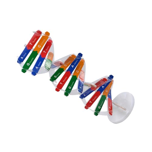 SUPVOX DNA Modell Doppelhelix Wissenschaftliches Lernspielzeug für Ab Jahren DIY Set als Pädagogisches Klassenzimmer lehrmittel Interaktives Naturwissenschaftliches Zufällige Farbe SUPVOX DNA Modell Doppelhelix Wissenschaftliches Lernspielzeug für Ab Jahren DIY Set als Pädagogisches Klassenzimmer lehrmittel Interaktives Naturwissenschaftliches Zufällige Farbe von Supvox