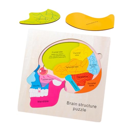 SUPVOX Holz Gehirnstruktur Puzzle für Pädagogisches Montessori Mehrschichtiges Kognitives Lernspiel Großes Steckpuzzle mit Farbiger Gestaltung Fördert Kreativität und Feinmotorik SUPVOX Holz Gehirnstruktur Puzzle für Pädagogisches Montessori Mehrschichtiges Kognitives Lernspiel Großes Steckpuzzle mit Farbiger Gestaltung Fördert Kreativität und Feinmotorik von Supvox