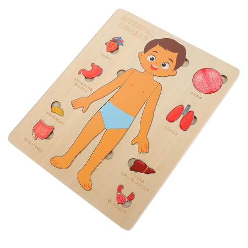SUPVOX Holzpuzzle Menschlicher Körper Modell Pädagogisches Organe Steckspiel für Jungen und Mädchen Frühförderung Kindergarten Lernspielzeug zur Erkennung SUPVOX Holzpuzzle Menschlicher Körper Modell Pädagogisches Organe Steckspiel für Jungen und Mädchen Frühförderung Kindergarten Lernspielzeug zur Erkennung von Supvox