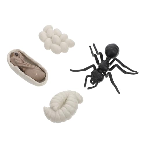 SUPVOX Lernspielzeug Ameisen Wachstumszyklus Modell Realistische Arbeiter Ameisen Display Modelle Pädagogisches Naturwissenschaft für Teiliges Evolutionsset SUPVOX Lernspielzeug Ameisen Wachstumszyklus Modell Realistische Arbeiter Ameisen Display Modelle Pädagogisches Naturwissenschaft für Teiliges Evolutionsset von Supvox