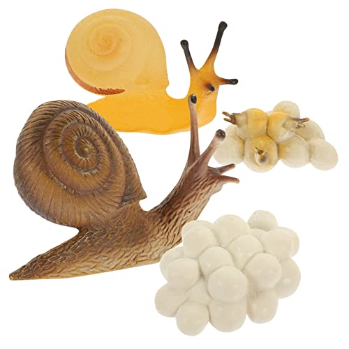 Supvox Simuliertes Schneckenspielzeug für Kinder Kognitives Lernspielzeug Schneckenwachstumszyklus Modell Pädagogisches Spielzeug für Naturentdeckung Lustiges Tiermodell Supvox Simuliertes Schneckenspielzeug für Kinder Kognitives Lernspielzeug Schneckenwachstumszyklus Modell Pädagogisches Spielzeug für Naturentdeckung Lustiges Tiermodell von Supvox