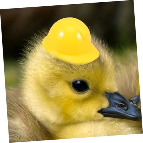 Supvox 20 Stück Teiliges Mini Bauhelm für Kleine Kunststoff Sicherheitshelme in Gelb und Rot Detailgetreue Miniaturhelme als Puppenzubehör Partydeko und Bastelmaterial für Kreative Supvox 20 Stück Teiliges Mini Bauhelm für Kleine Kunststoff Sicherheitshelme in Gelb und Rot Detailgetreue Miniaturhelme als Puppenzubehör Partydeko und Bastelmaterial für Kreative von Supvox