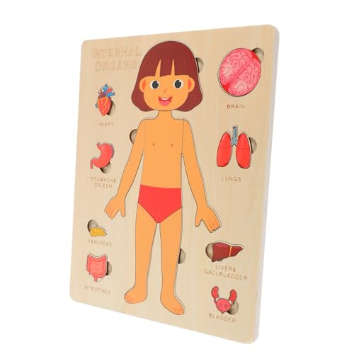 Supvox Lernspielzeug Human Organe Puzzle Montessori Bausteine für Jungen Mädchen Ab Jahren Pädagogisches Frühförderungsspielzeug zur Körperorgane Erkennung und Motorikentwicklung Supvox Lernspielzeug Human Organe Puzzle Montessori Bausteine für Jungen Mädchen Ab Jahren Pädagogisches Frühförderungsspielzeug zur Körperorgane Erkennung und Motorikentwicklung von Supvox