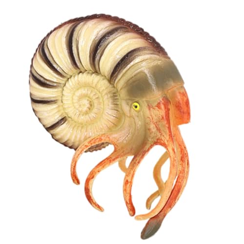 Supvox Nautilus Modell für Kinder Simuliertes Meeres Tiermodell Realistisches Nautilus Spielzeug Umweltbewusstsein Kognitives Lernspielzeug Plastik Sicher und Langlebig Supvox Nautilus Modell für Kinder Simuliertes Meeres Tiermodell Realistisches Nautilus Spielzeug Umweltbewusstsein Kognitives Lernspielzeug Plastik Sicher und Langlebig von Supvox