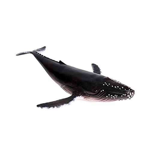 Supvox Realistische Buckelwal Figur aus Hochwertigem Kunststoff Detailgetreues Meeresleben Modell Dekoratives und Pädagogisches für Zuhause Büro und Aquarium Zubehör Supvox Realistische Buckelwal Figur aus Hochwertigem Kunststoff Detailgetreues Meeresleben Modell Dekoratives und Pädagogisches für Zuhause Büro und Aquarium Zubehör von Supvox