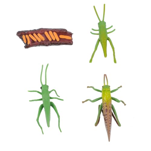 Supvox Realistische Insekten Lebenszyklus Modellfiguren Handbemalt Pädagogische Tierwachstumsspielzeuge Dekorative Sammelfiguren für Frühe Bildung und Partydekoration Supvox Realistische Insekten Lebenszyklus Modellfiguren Handbemalt Pädagogische Tierwachstumsspielzeuge Dekorative Sammelfiguren für Frühe Bildung und Partydekoration von Supvox