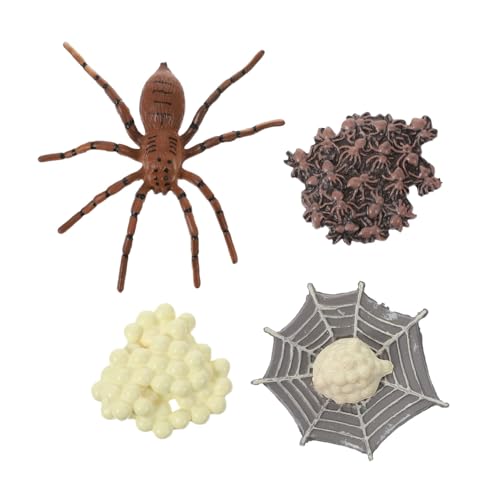 Supvox Realistisches Spinnen Wachstumszyklus Modell aus Hochwertigem Pädagogisches Tierspielzeug für Anschauliches Lernspielzeug Vorstellungskraft und Lebenszyklus Verständnis Supvox Realistisches Spinnen Wachstumszyklus Modell aus Hochwertigem Pädagogisches Tierspielzeug für Anschauliches Lernspielzeug Vorstellungskraft und Lebenszyklus Verständnis von Supvox