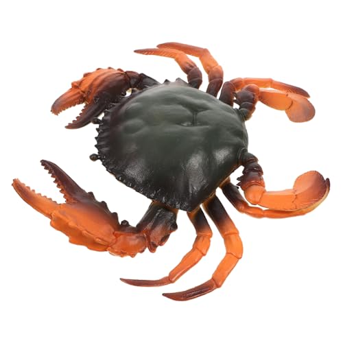 Supvox Simuliertes Krebsmodell Lernspielzeug Kreative Meeres tierfigur Pädagogisches frei Sicher für Kleinkinder Ab Monaten Supvox Simuliertes Krebsmodell Lernspielzeug Kreative Meeres tierfigur Pädagogisches frei Sicher für Kleinkinder Ab Monaten von Supvox