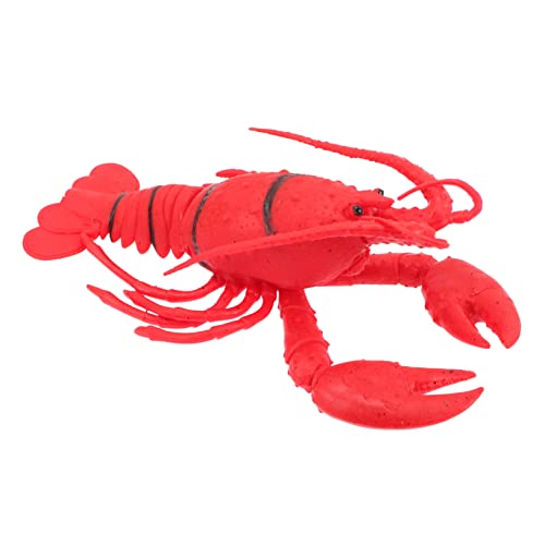 Supvox Simuliertes Meereslebewesen Modell Realistische Krebs und Hummer Figur Pädagogisches Aquarium Deko für Naturgetreu Langlebig für Restaurant und Zuhause Supvox Simuliertes Meereslebewesen Modell Realistische Krebs und Hummer Figur Pädagogisches Aquarium Deko für Naturgetreu Langlebig für Restaurant und Zuhause von Supvox