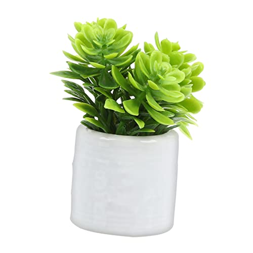 Supvox Miniatur-Bonsai-Pflanze Für Puppenhaus Mini-topfpflanze Landschaftsdekoration Für Jungen Und Mädchen Mini-Spielzeug Weiße Keramik Supvox Miniatur-Bonsai-Pflanze Für Puppenhaus Mini-topfpflanze Landschaftsdekoration Für Jungen Und Mädchen Mini-Spielzeug Weiße Keramik von Supvox