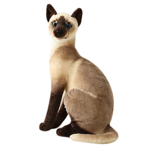 Kuscheltier Katze Lebensecht, 35cm Simulation Kurzhaar Nette Katze Puppe Flauschigen Plüsch Kätzchen Liegend Stofftier echt siamesische Katze Plüschtier Katze Plüschfiur Spielzeug für Kinder Frauen von Surakey